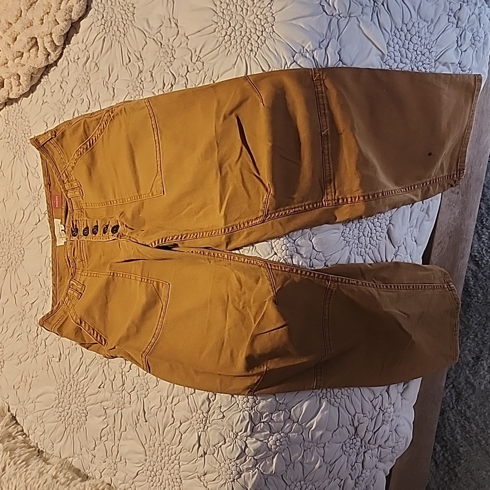 Anthropolgie Pants - The Wonderer